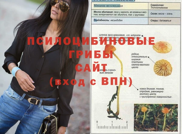 Альфа ПВП Майский