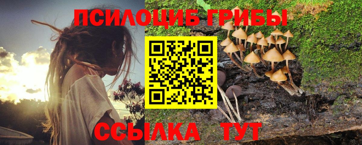 Десногорск  Псилоцибиновые грибы MAGIC MUSHROOMS  Вход с VPN  Галлюциногенные грибы Cubensis 